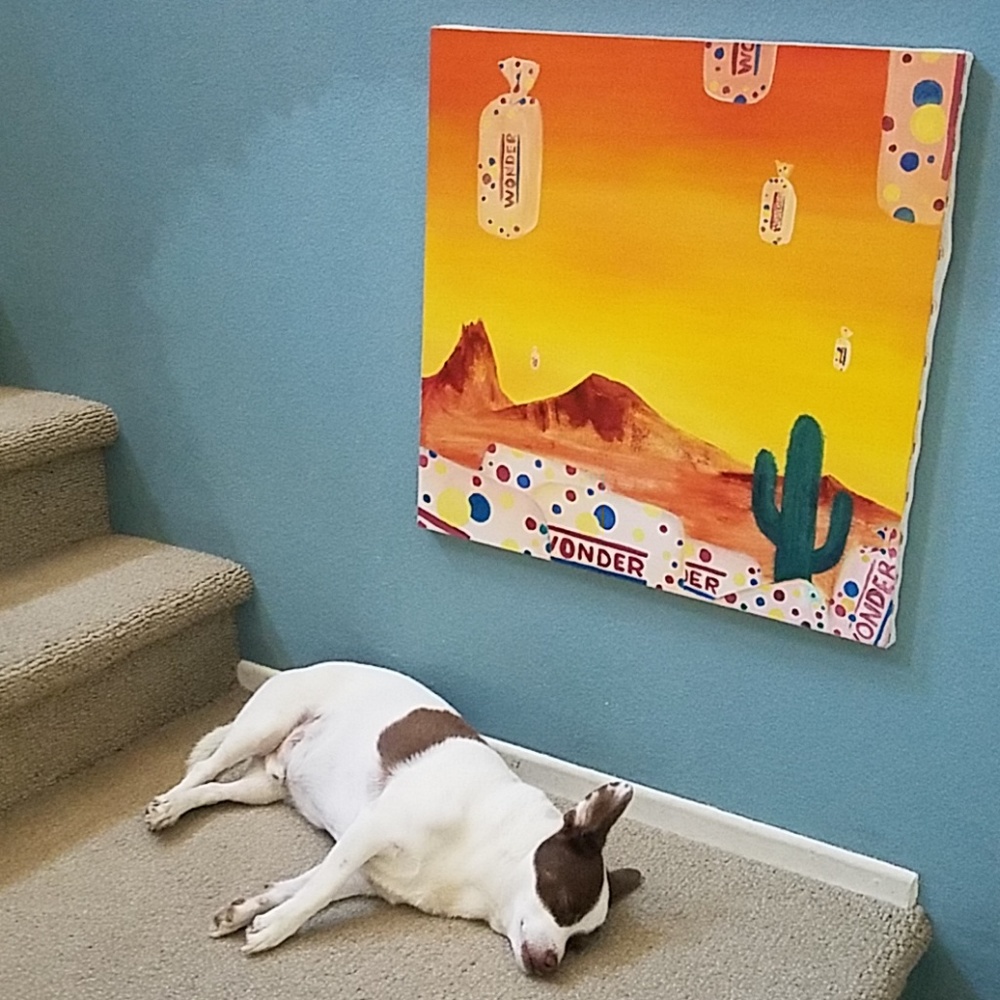 Meet your Posher Dog